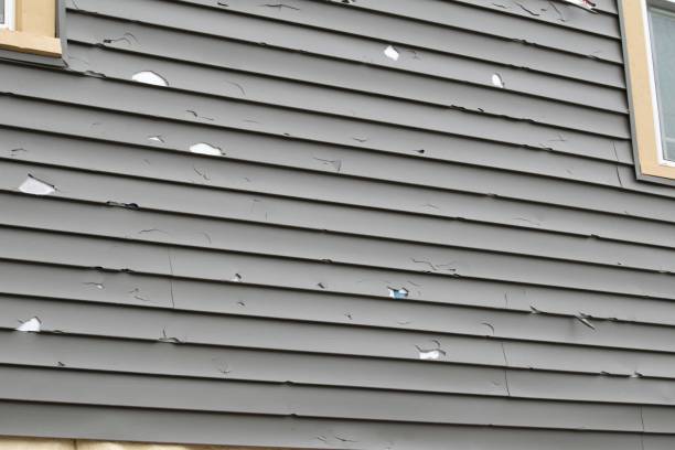 Best Siding Removal and Disposal  in Mammoth Lakes, CA