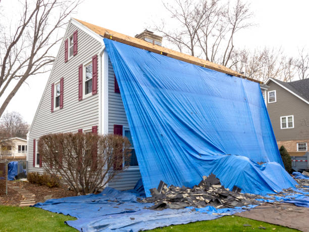 Best Historical Building Siding Restoration  in Mammoth Lakes, CA